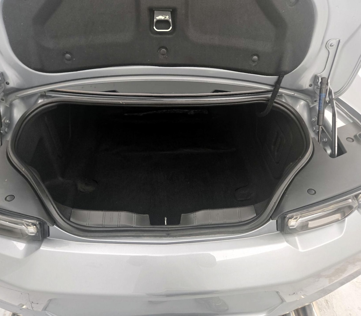 Trunk/Cargo (Seats Up)
