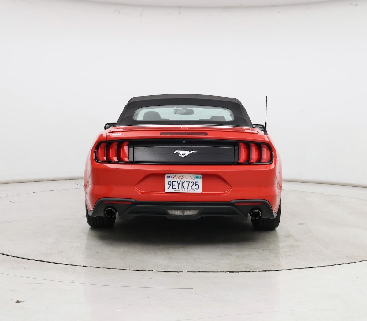 Rear