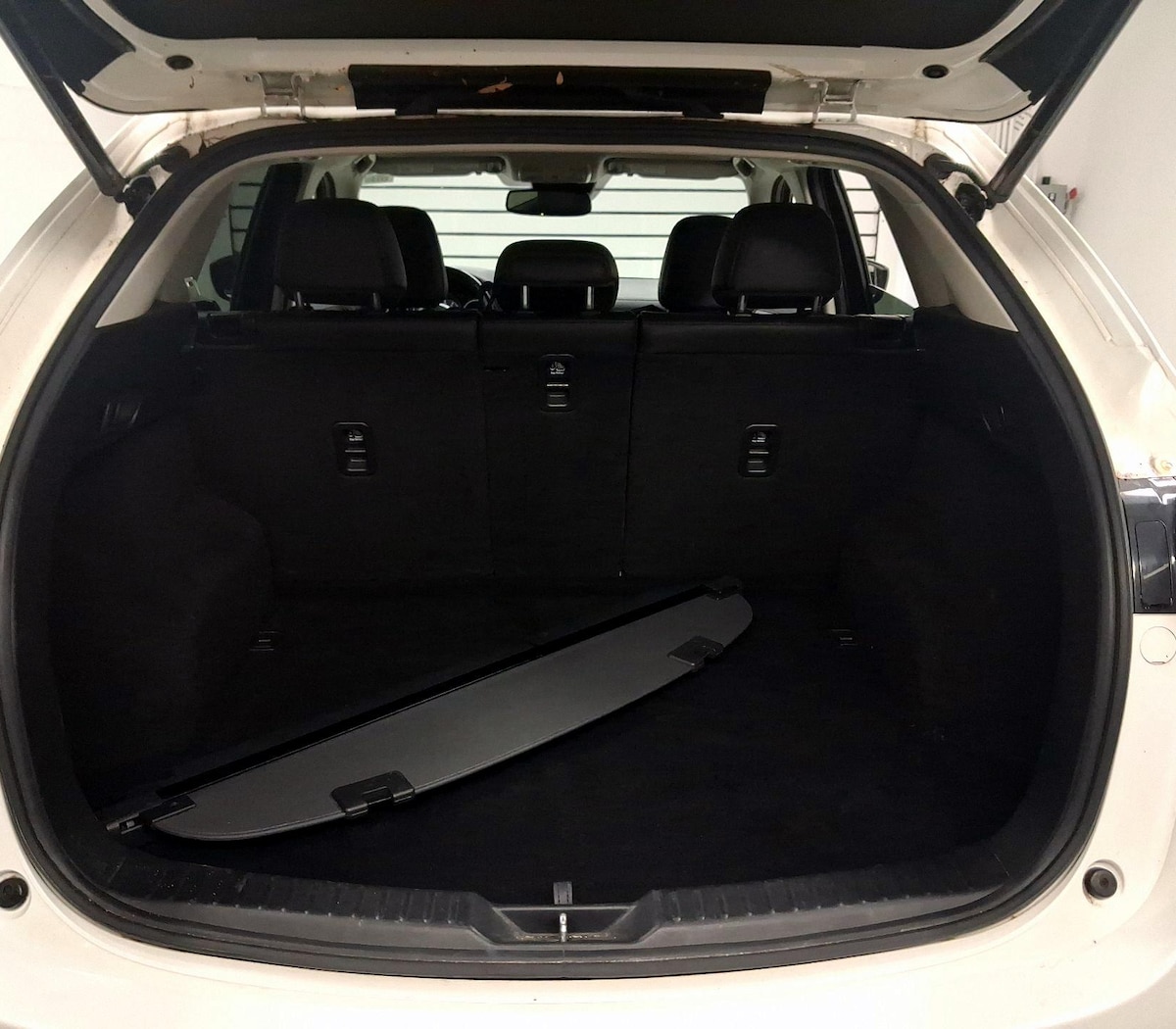 Trunk/Cargo (Seats Up)