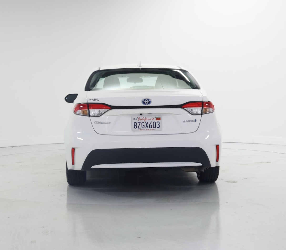 Rear