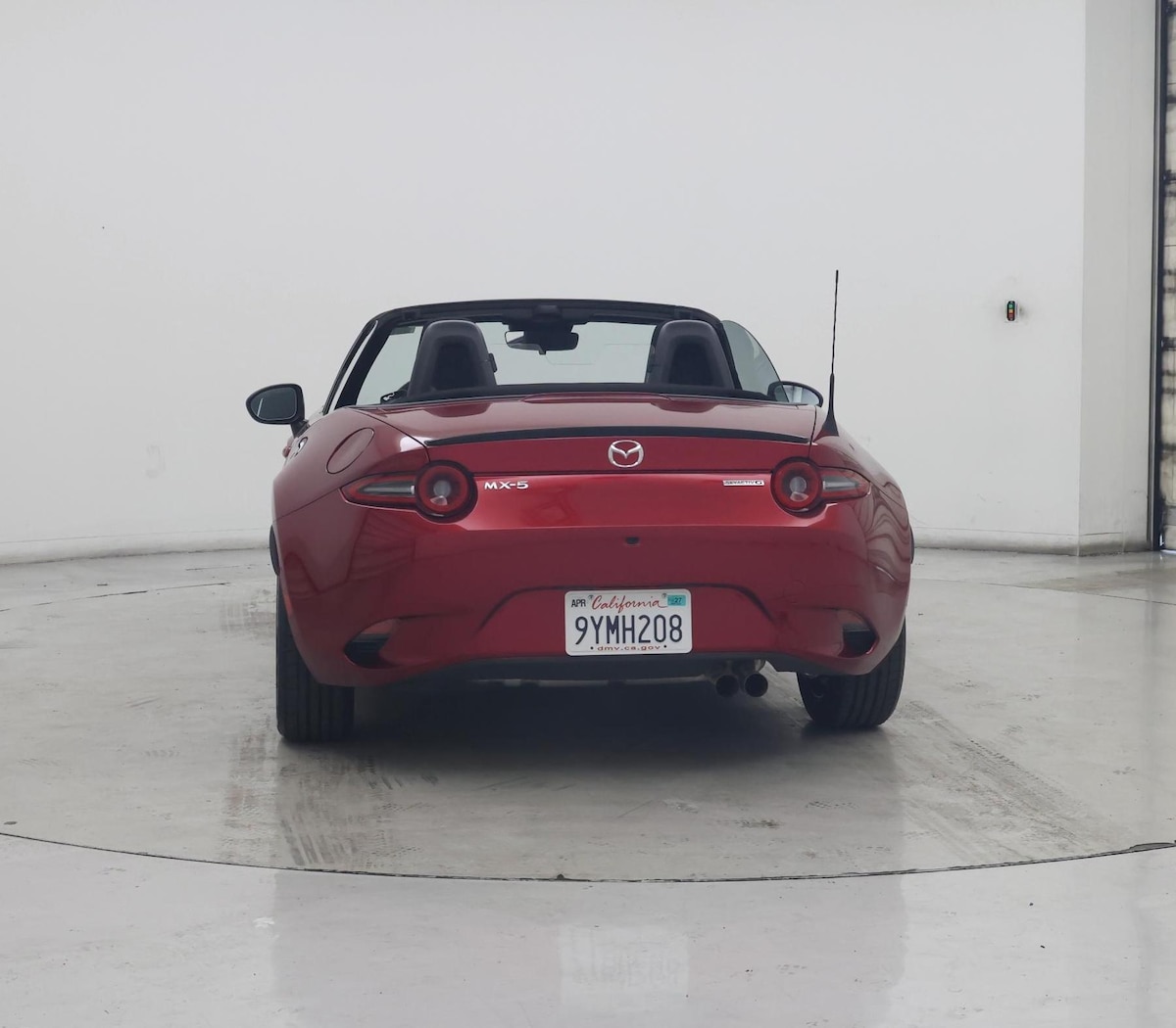 Rear