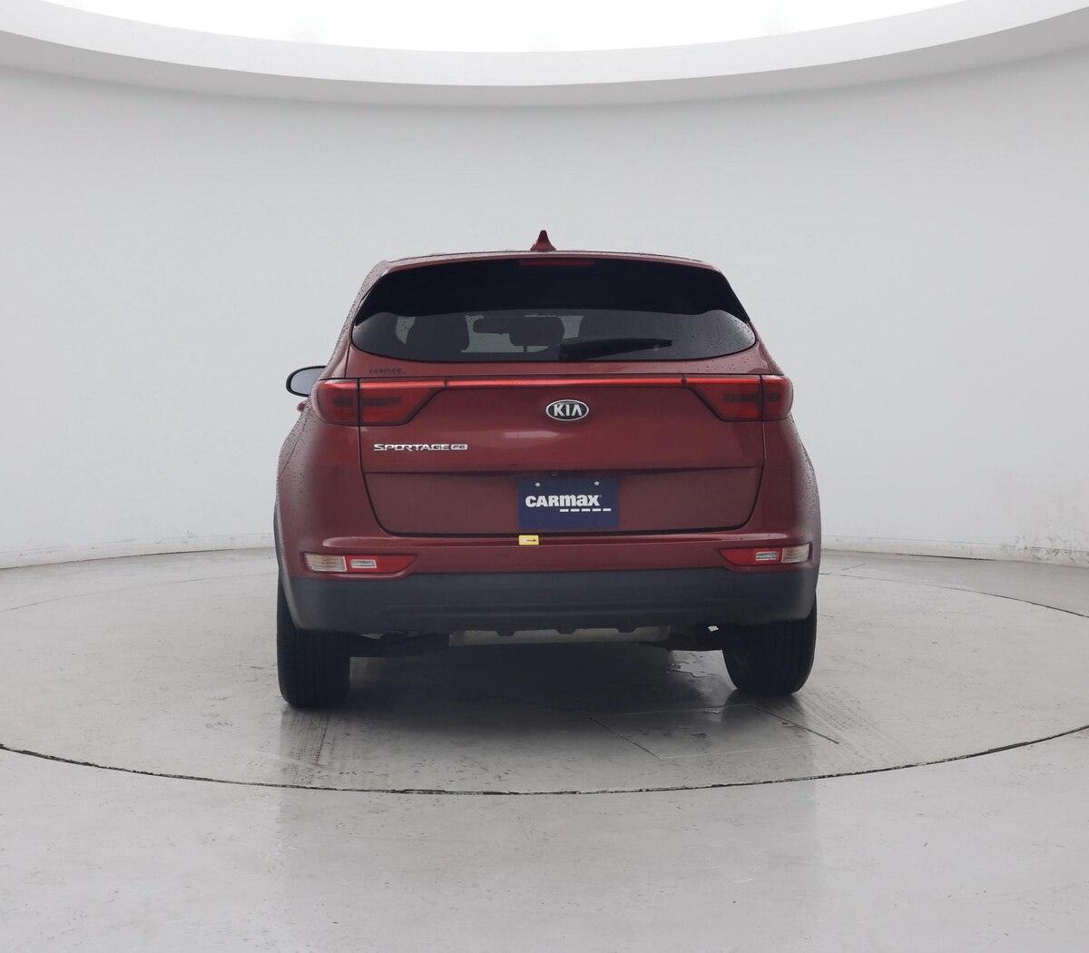 Rear