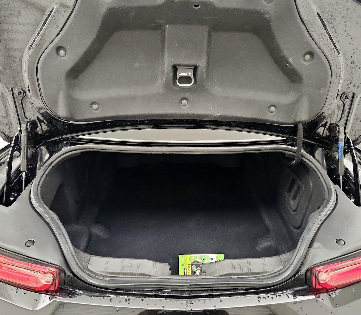 Trunk/Cargo (Seats Up)