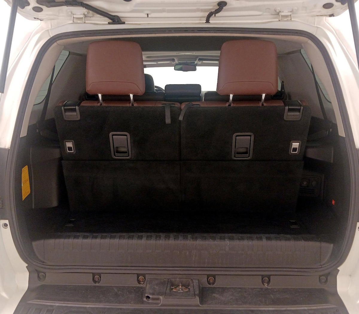Trunk/Cargo (Seats Up)