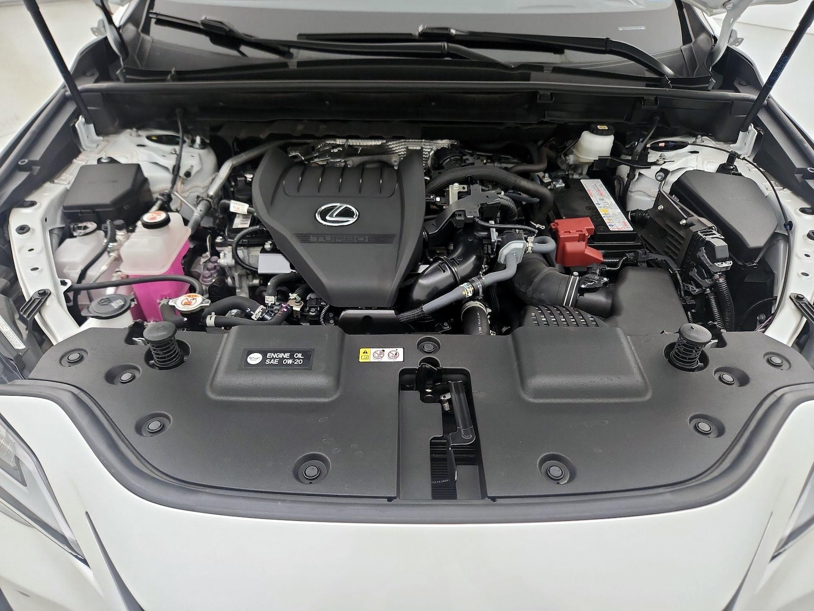 2025 Lexus NX 350 - Photo 24