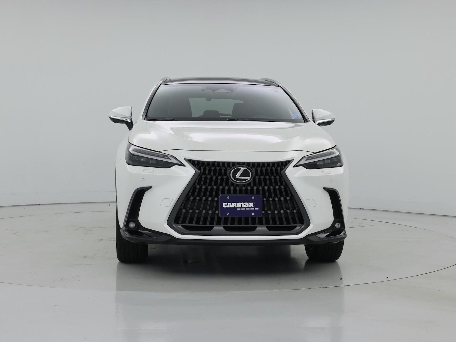 2025 Lexus NX 350 - Photo 6
