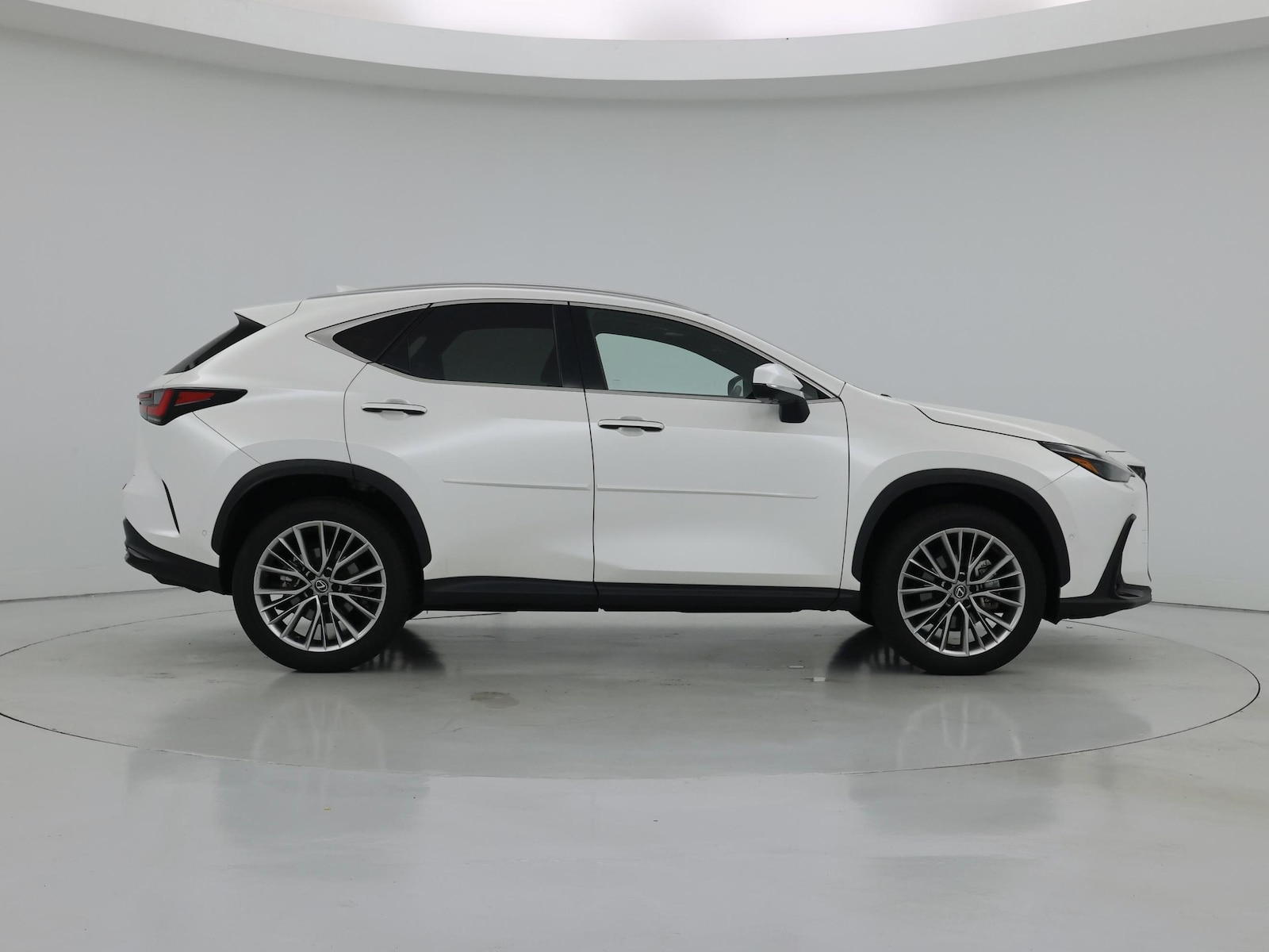 2025 Lexus NX 350 - Photo 8