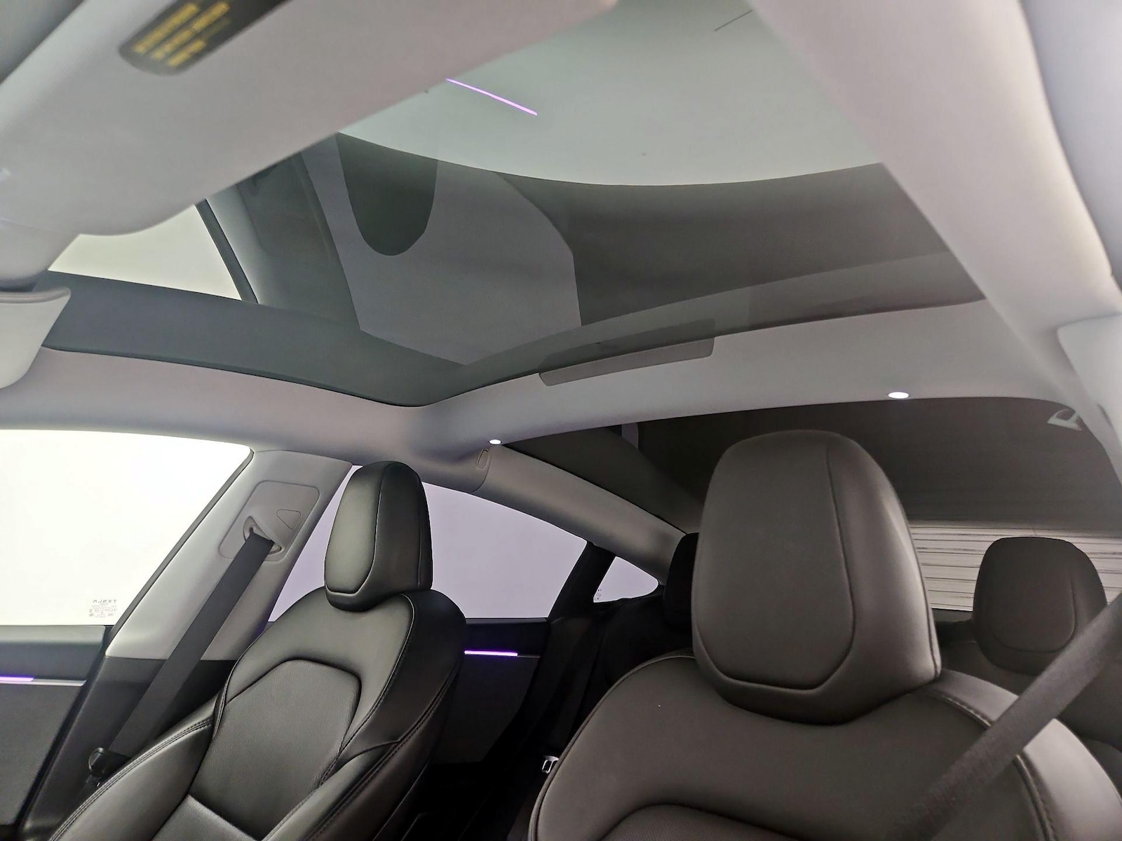 Skylight(s) & Overhead Airbags