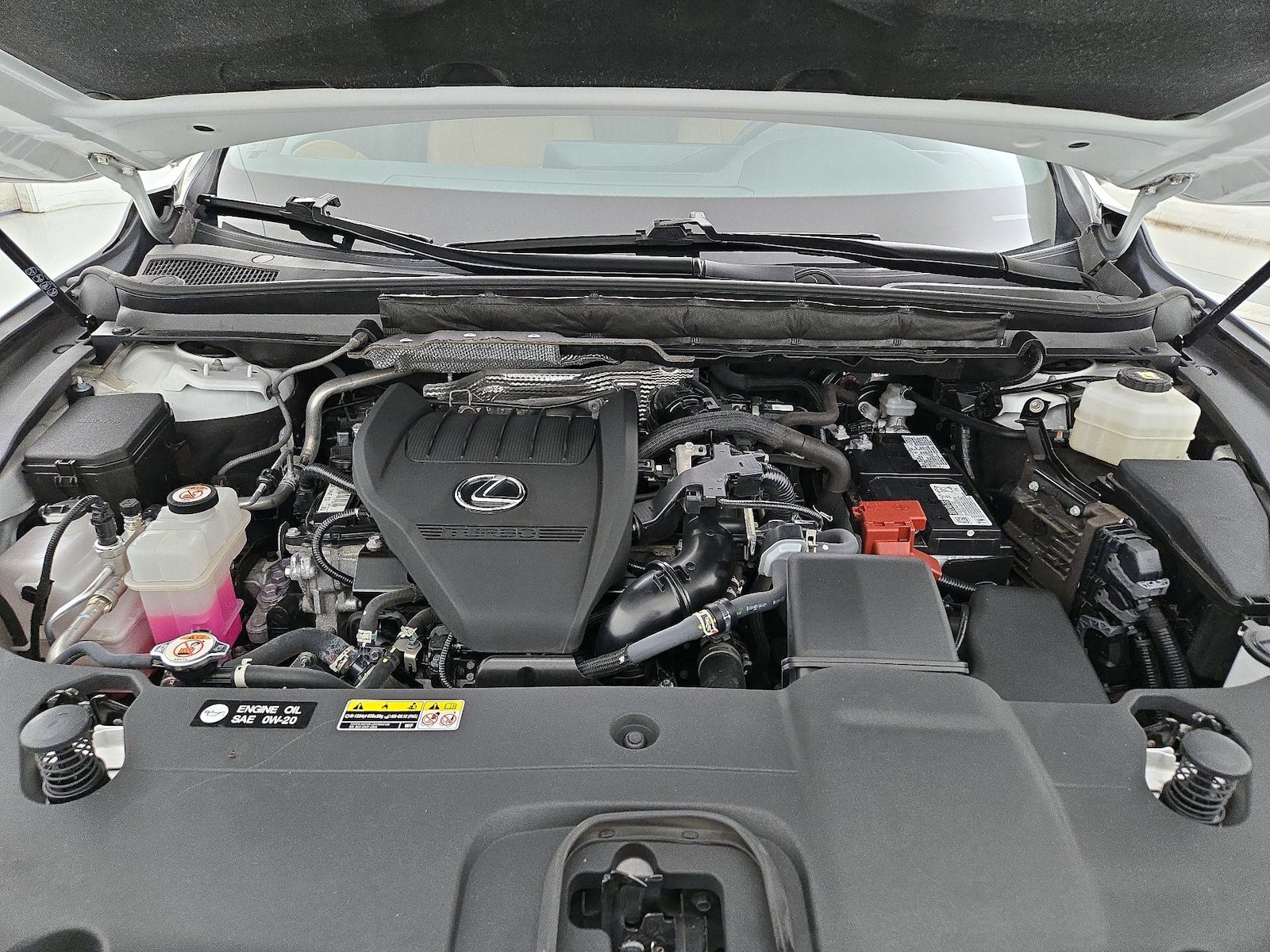 2024 Lexus RX 350 - Photo 23