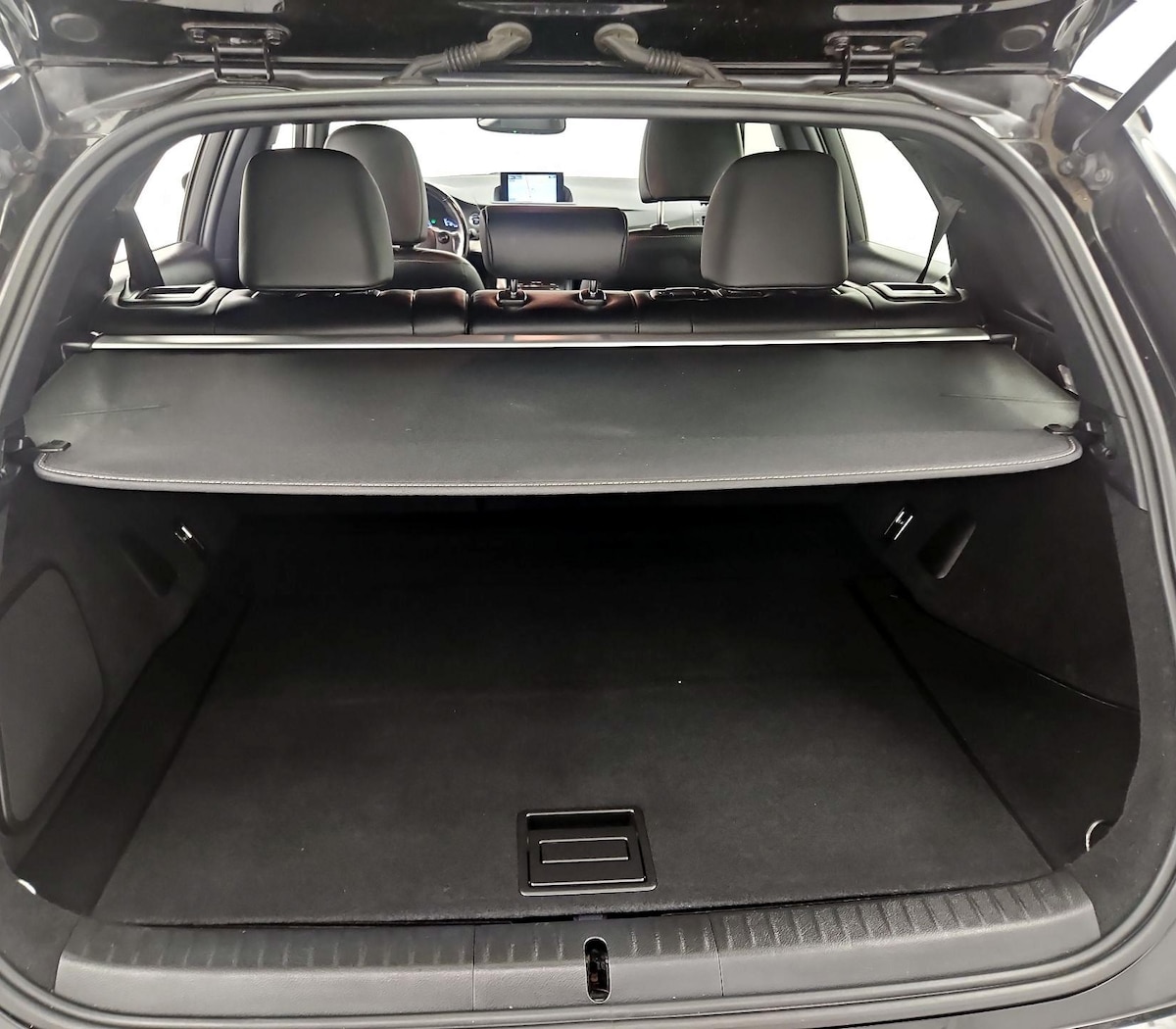 Trunk/Cargo (Seats Up)