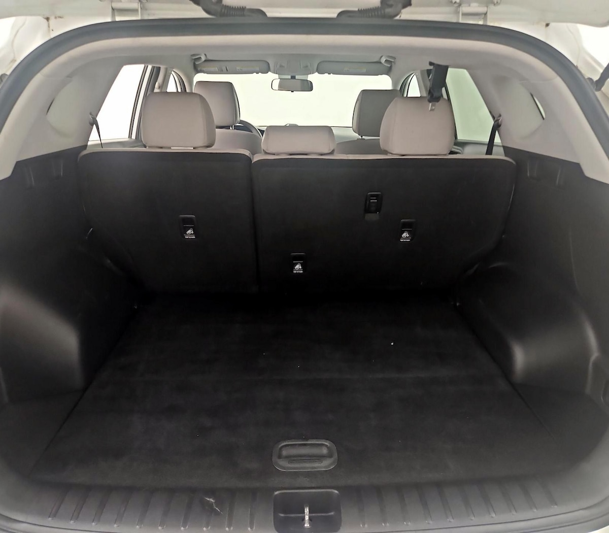 Trunk/Cargo (Seats Up)