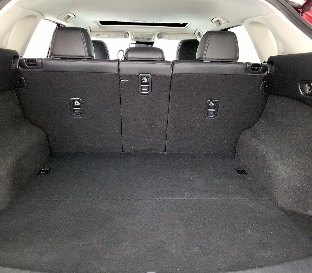 Trunk/Cargo (Seats Up)