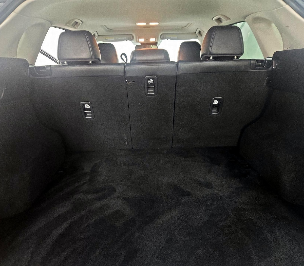 Trunk/Cargo (Seats Up)