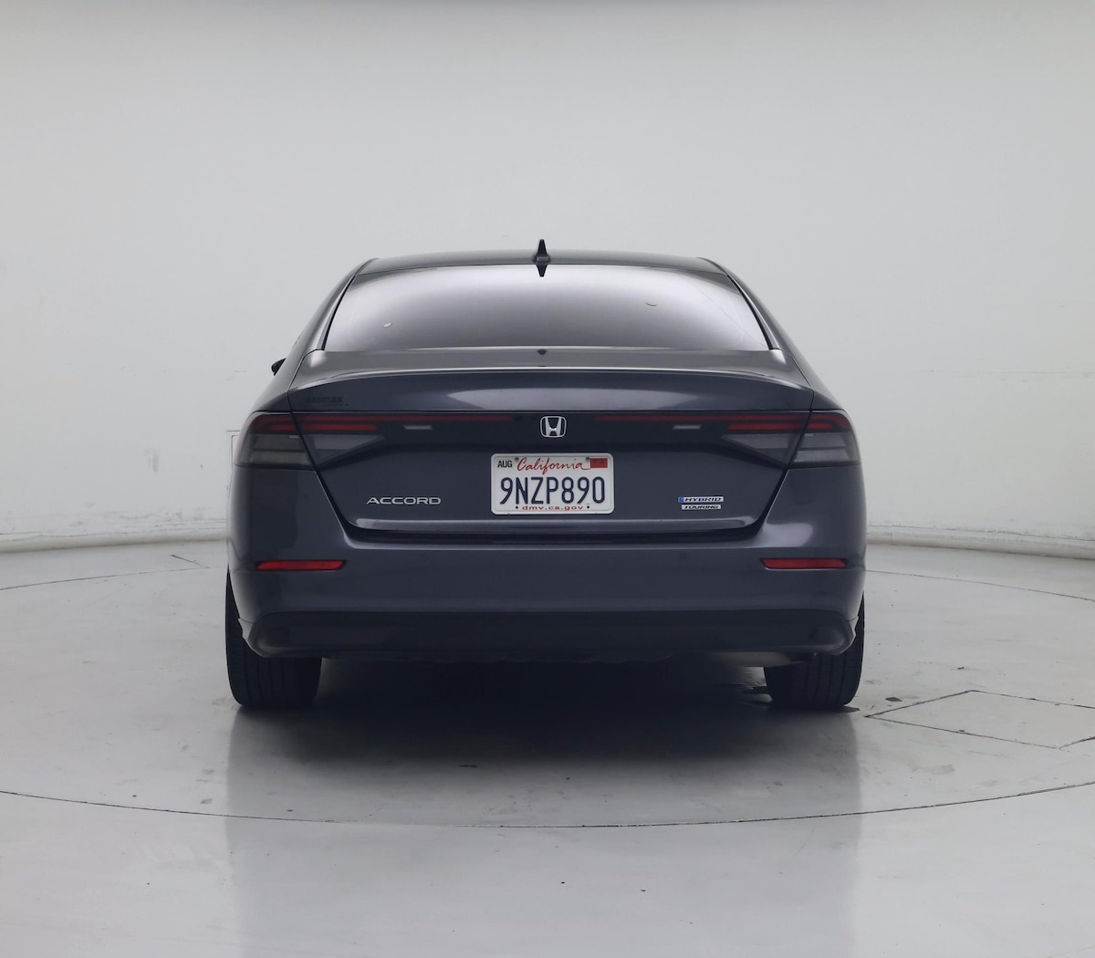 Rear