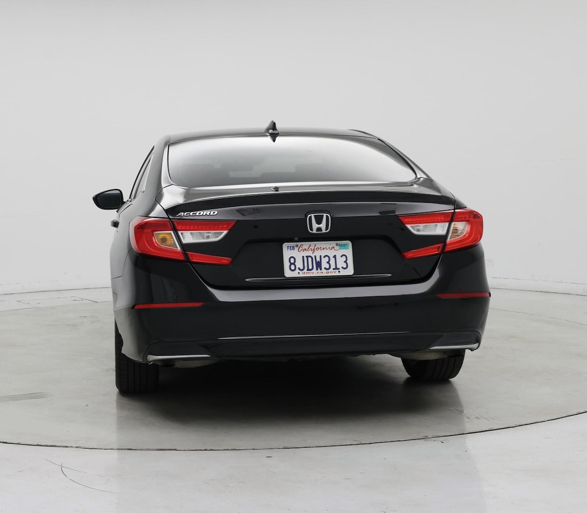 Rear