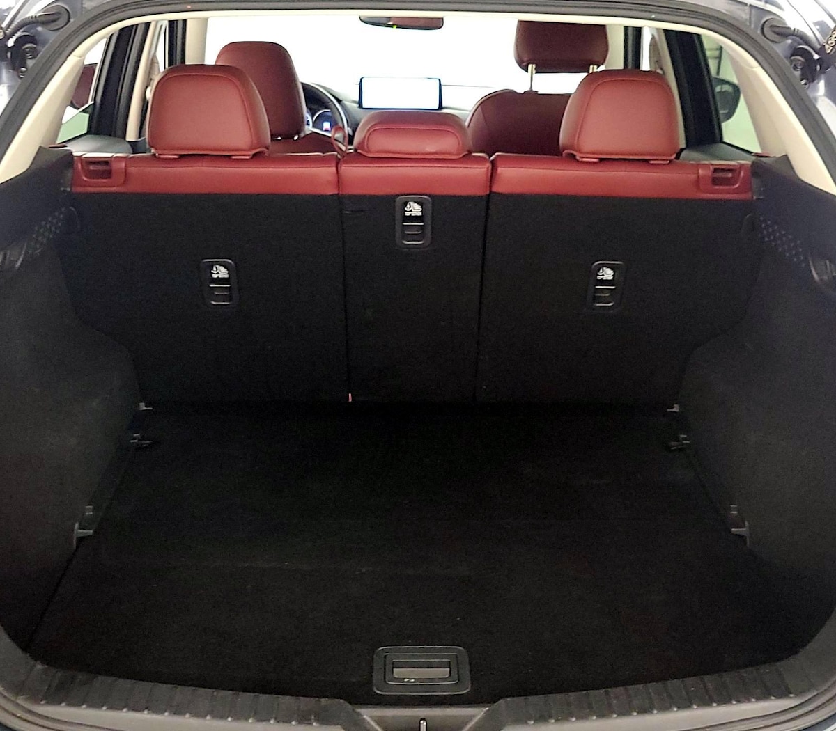 Trunk/Cargo (Seats Up)