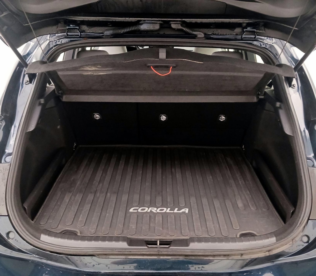 Trunk/Cargo (Seats Up)
