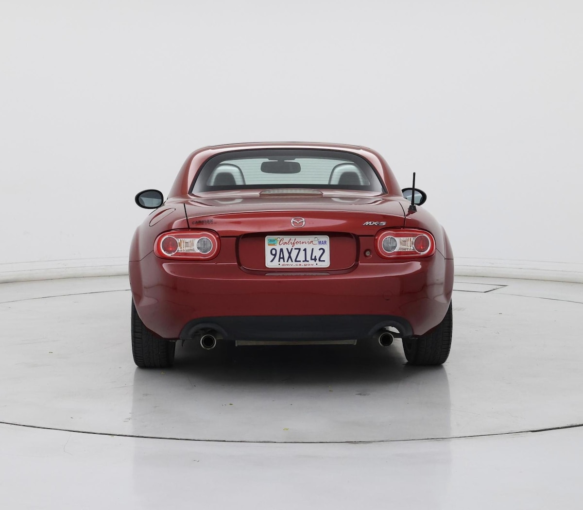 Rear