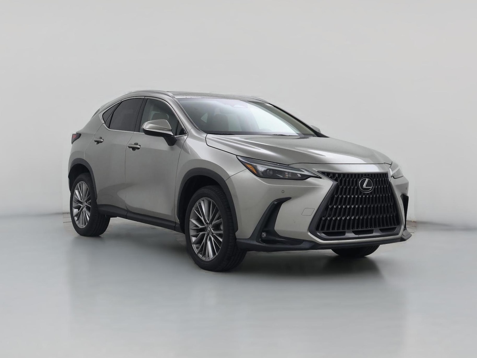 2023 Lexus NX