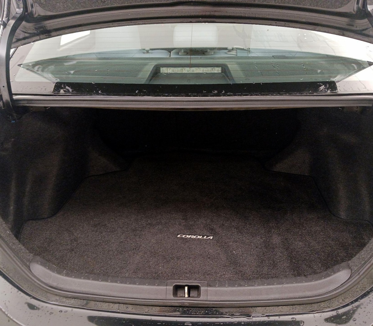 Trunk/Cargo (Seats Up)