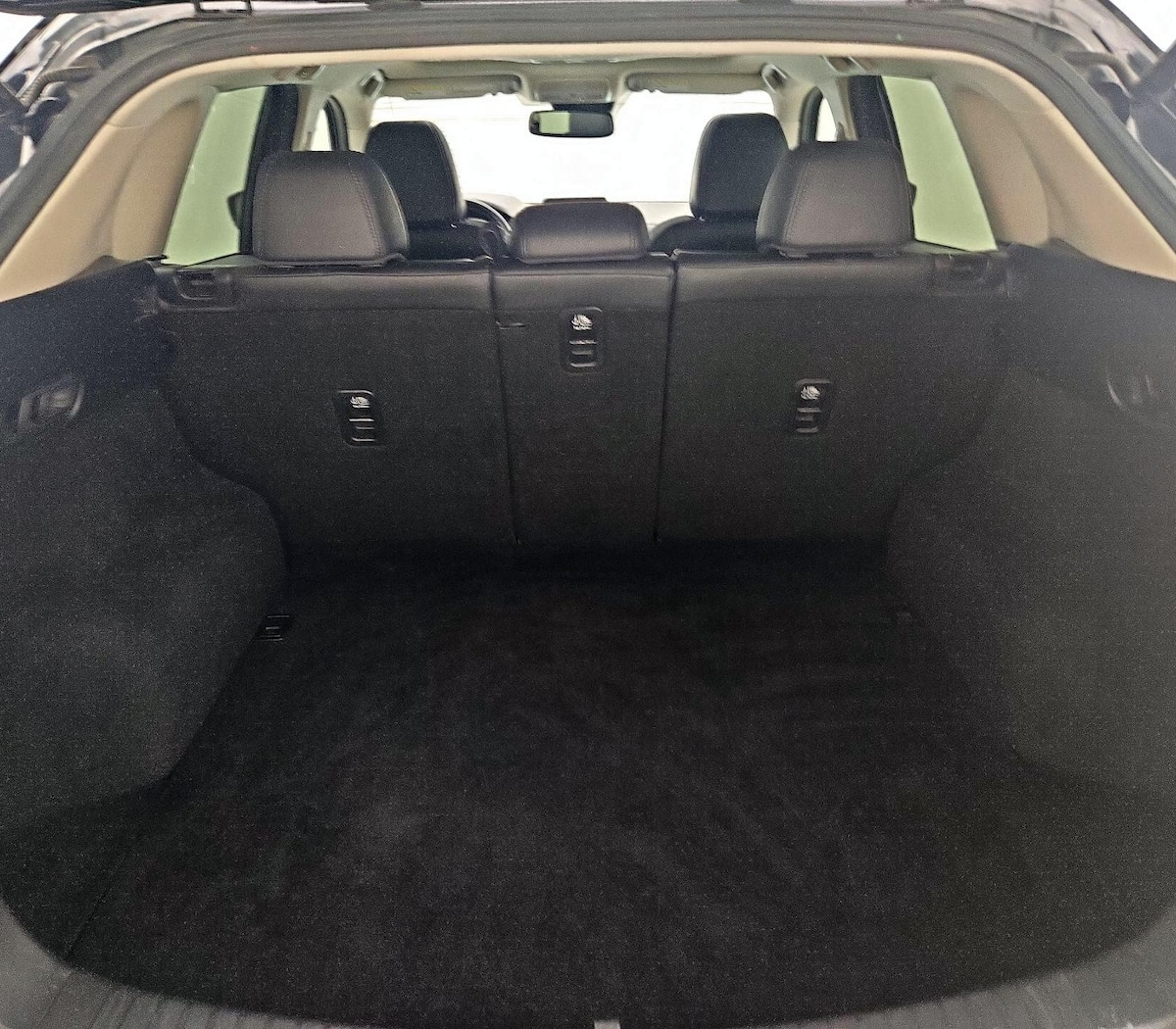 Trunk/Cargo (Seats Up)