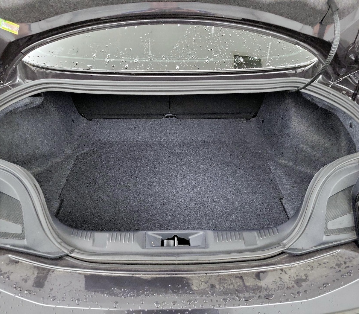 Trunk/Cargo (Seats Up)