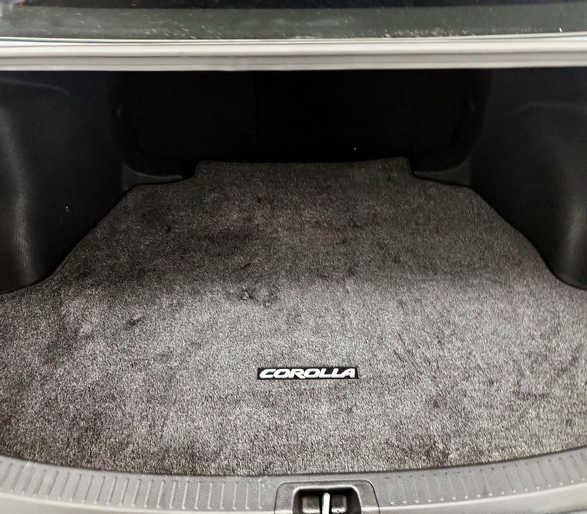 Trunk/Cargo (Seats Up)