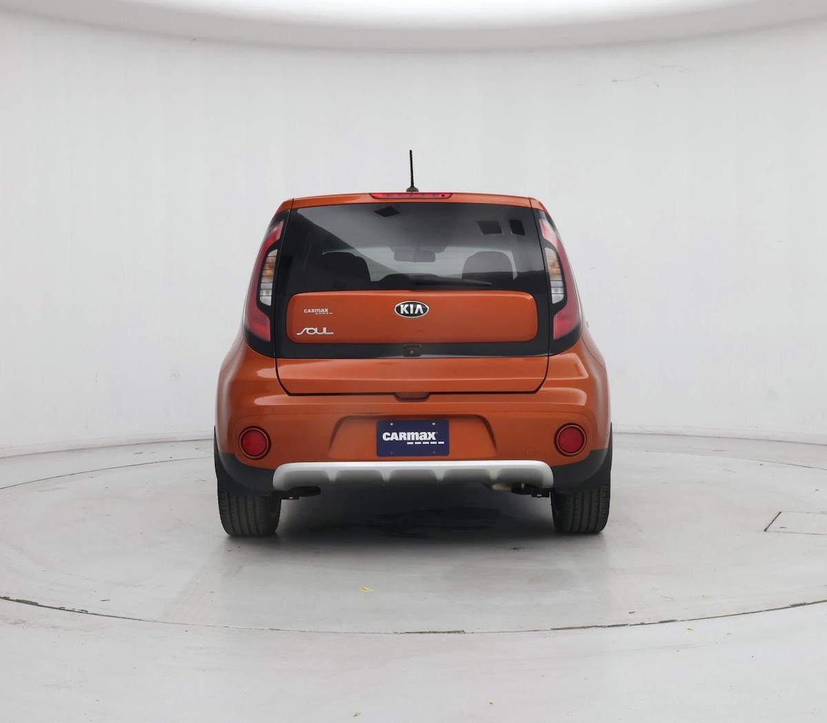 Rear