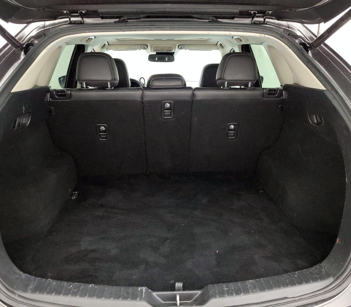 Trunk/Cargo (Seats Up)