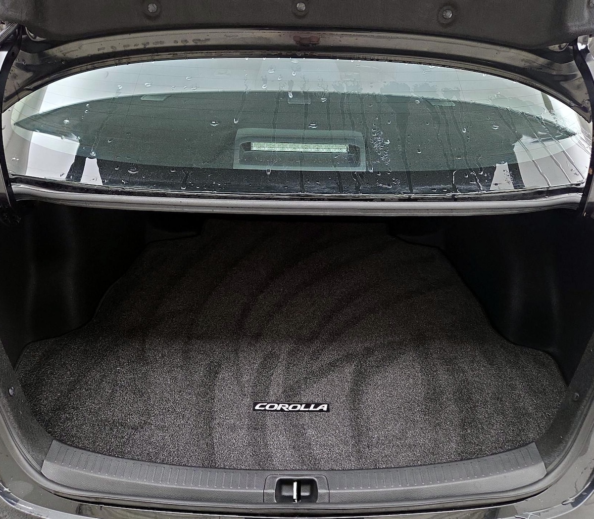 Trunk/Cargo (Seats Up)