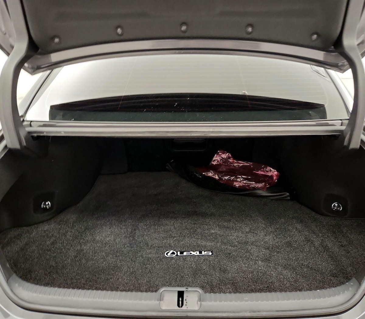 Trunk/Cargo (Seats Up)