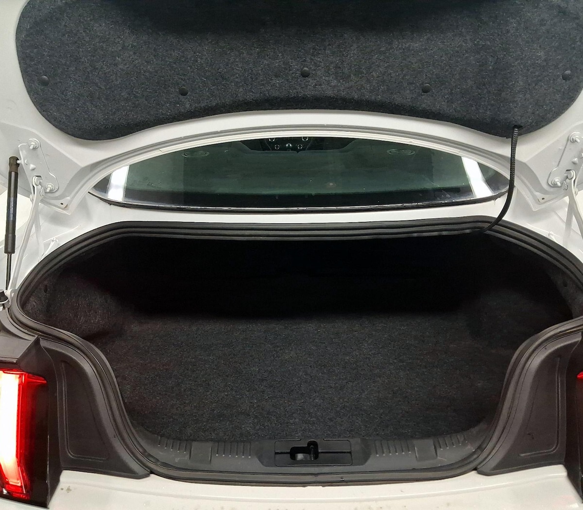 Trunk/Cargo (Seats Up)