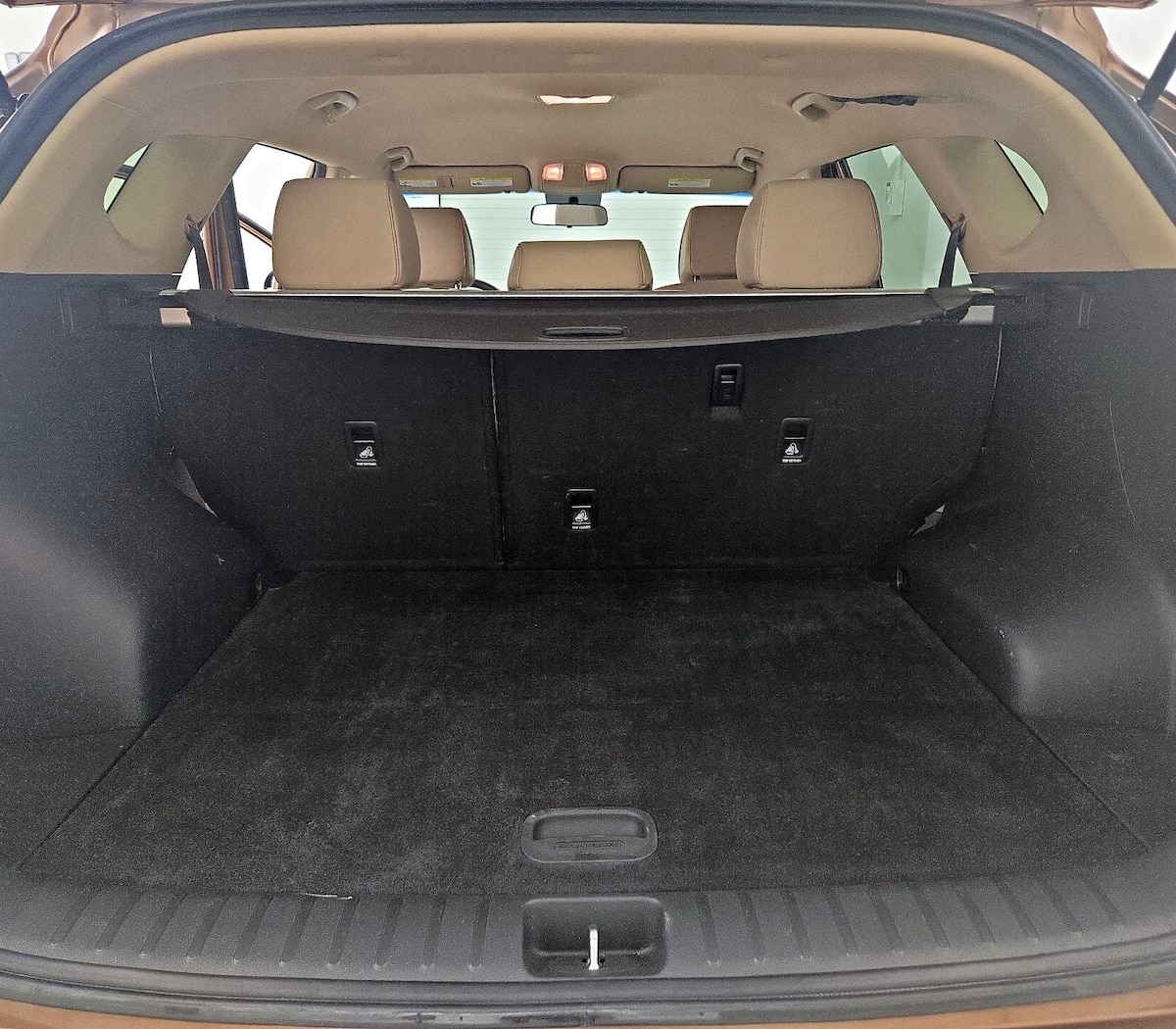 Trunk/Cargo (Seats Up)