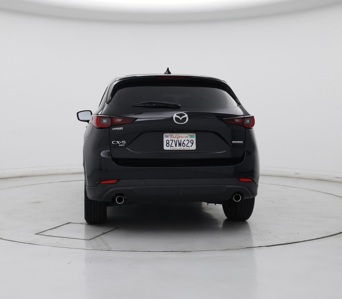 Rear