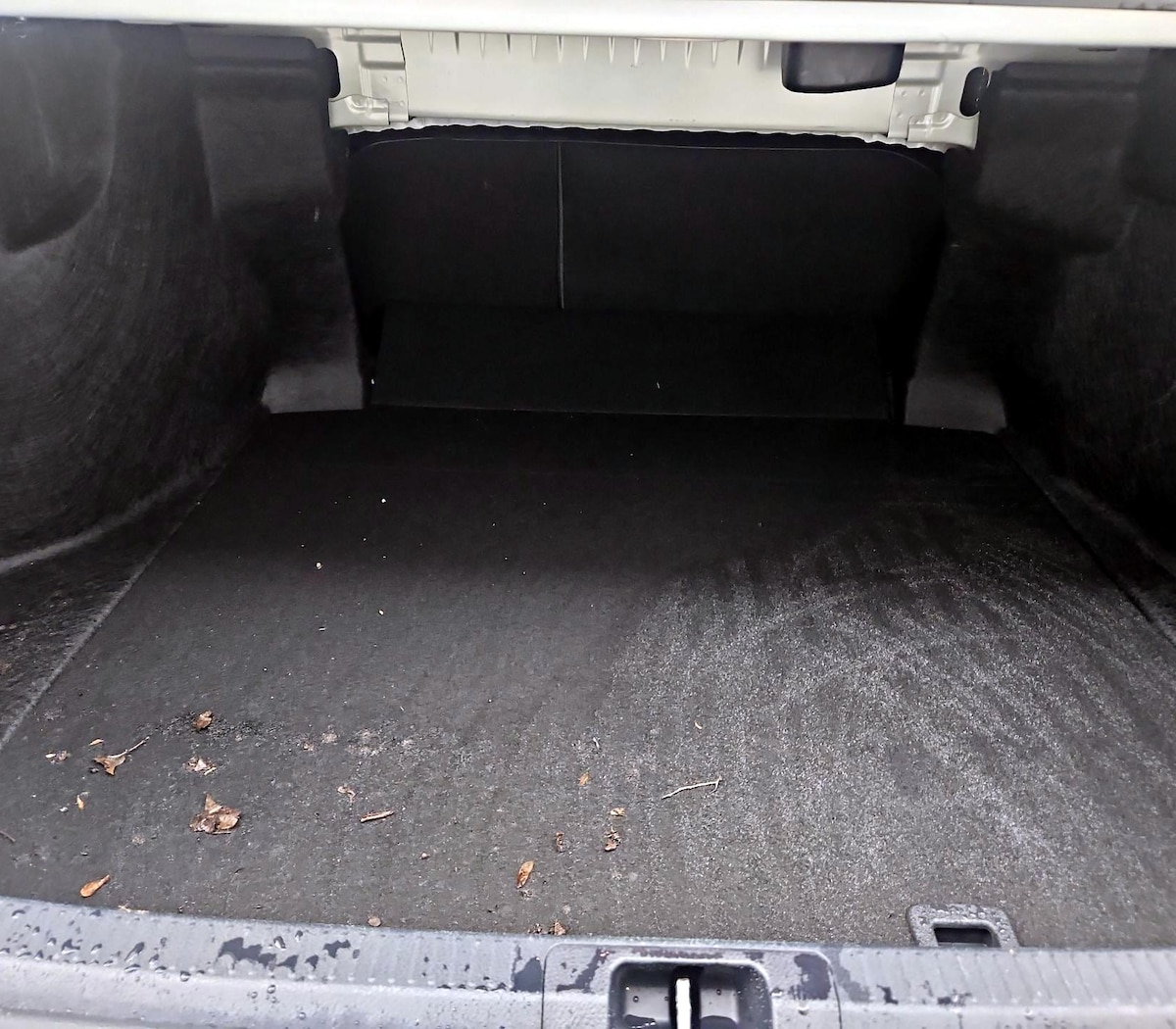 Trunk/Cargo (Seats Up)