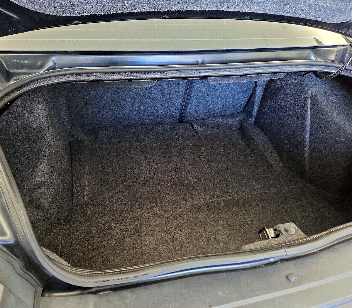 Trunk/Cargo (Seats Up)