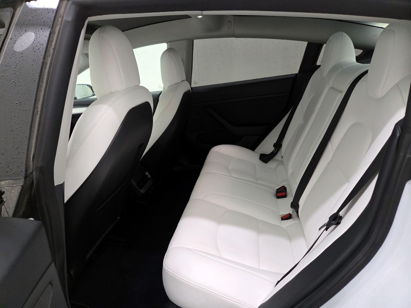 Rear Seat Heaters