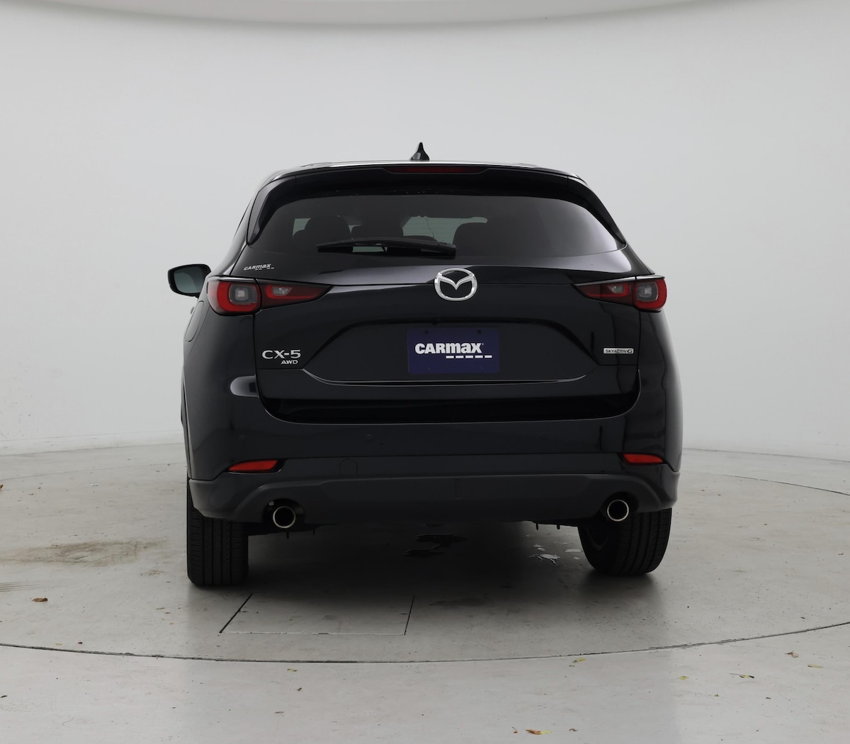 Rear