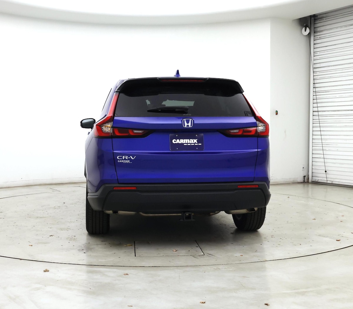 Rear