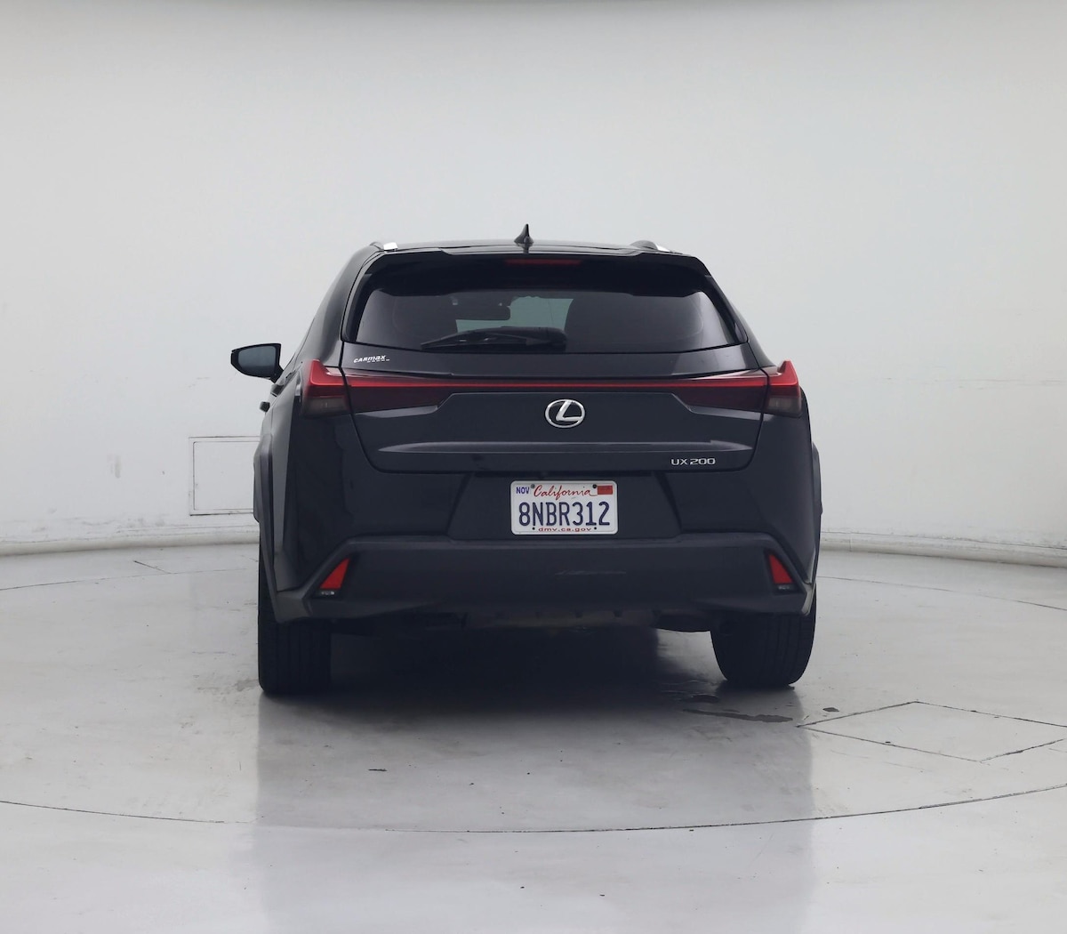 Rear