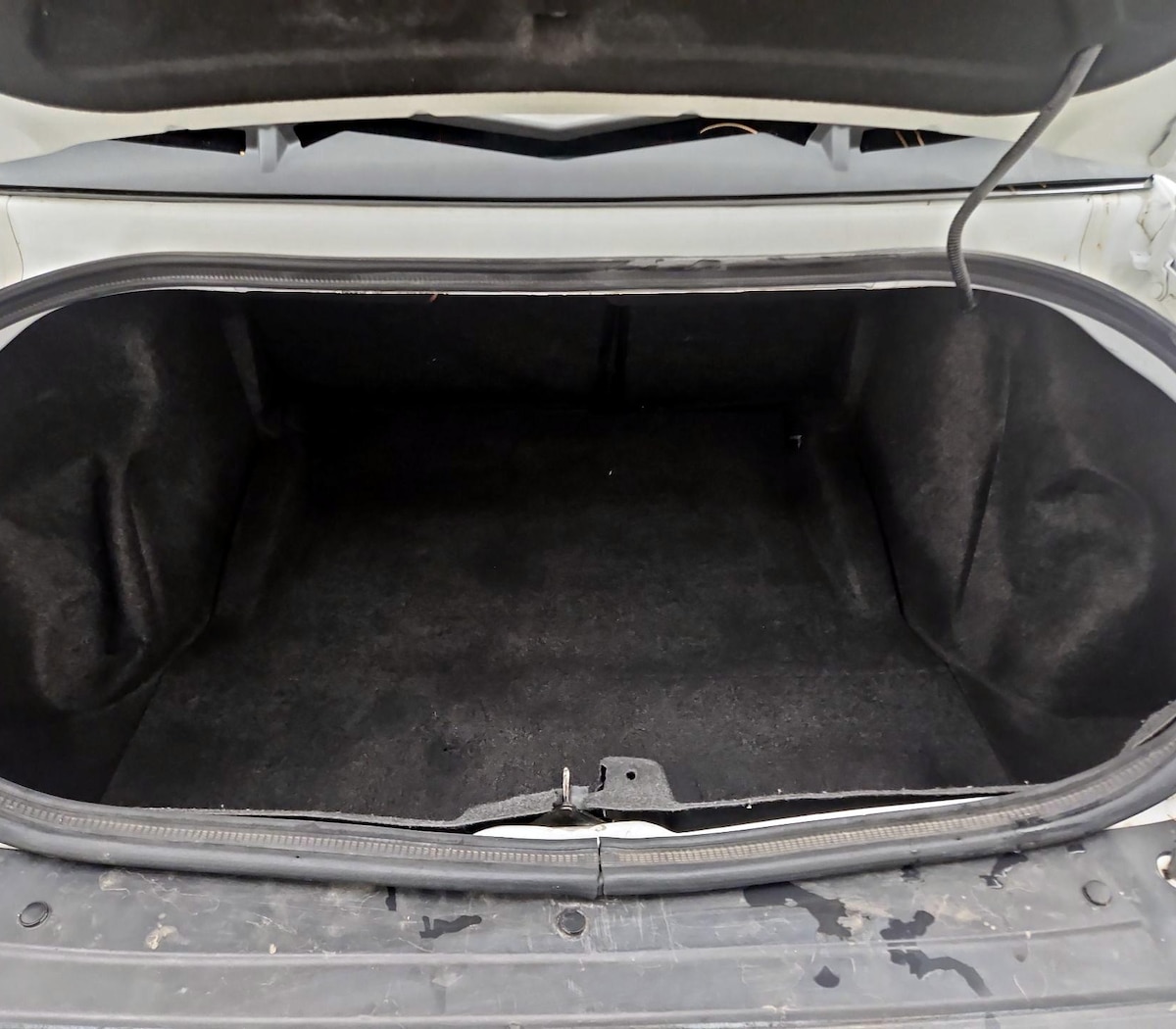 Trunk/Cargo (Seats Up)