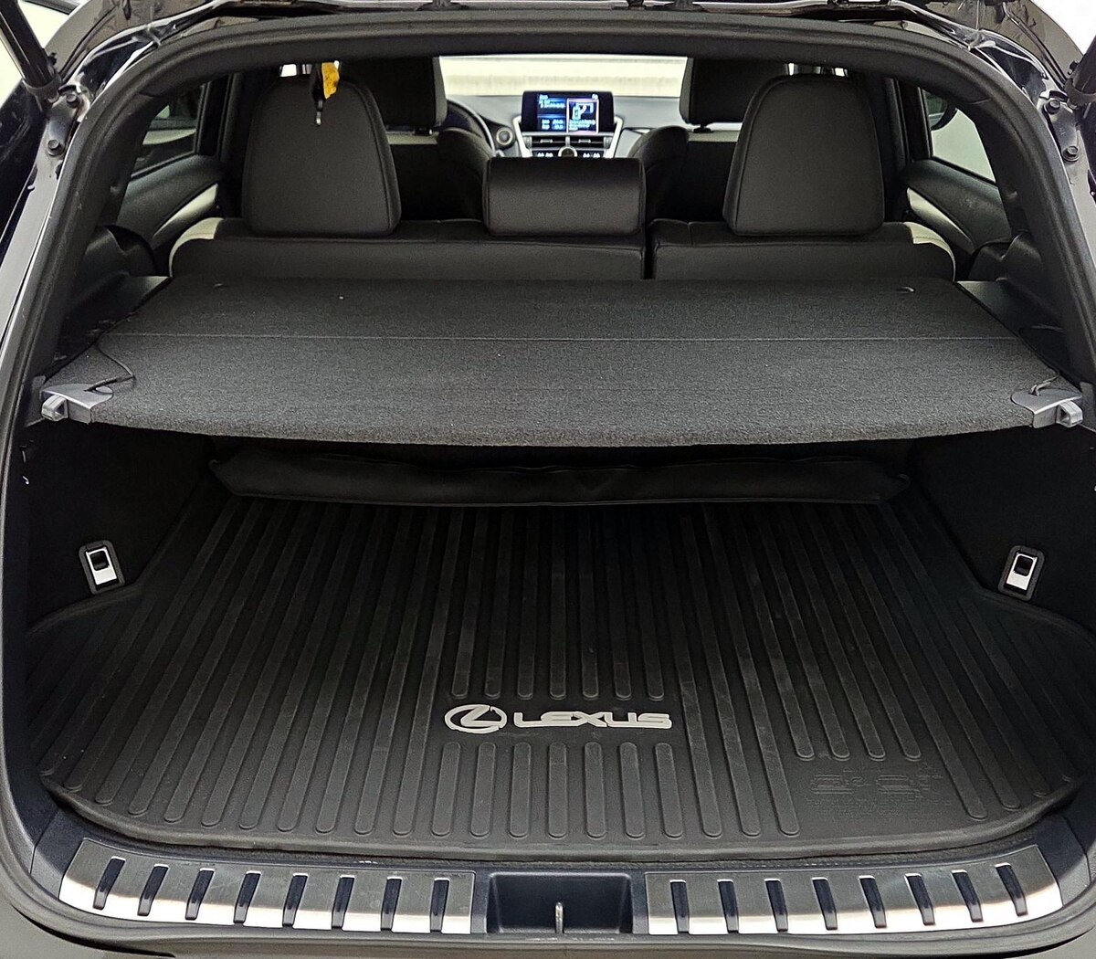Trunk/Cargo (Seats Up)