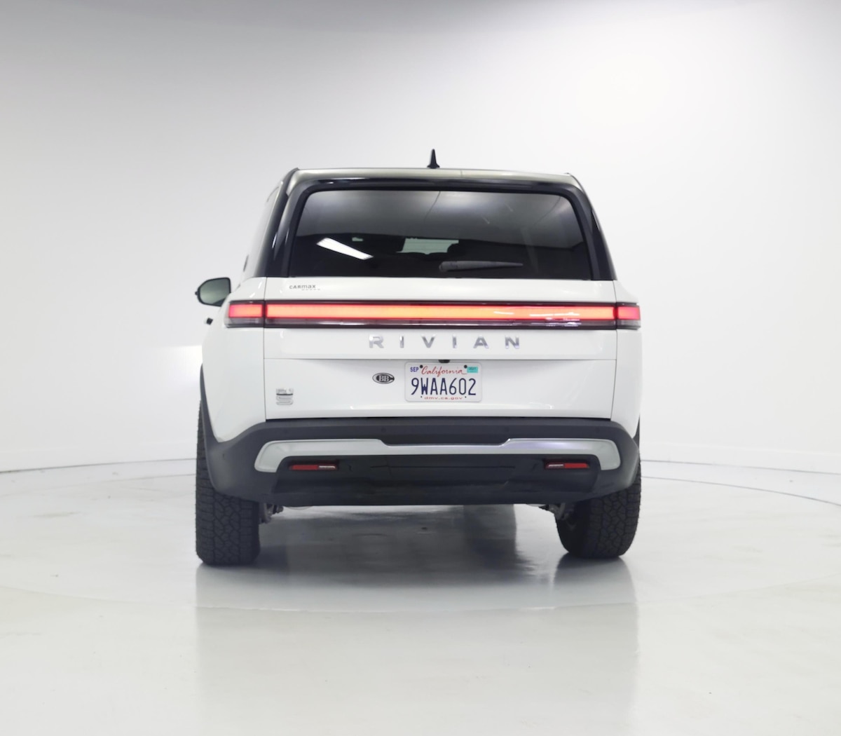 Rear