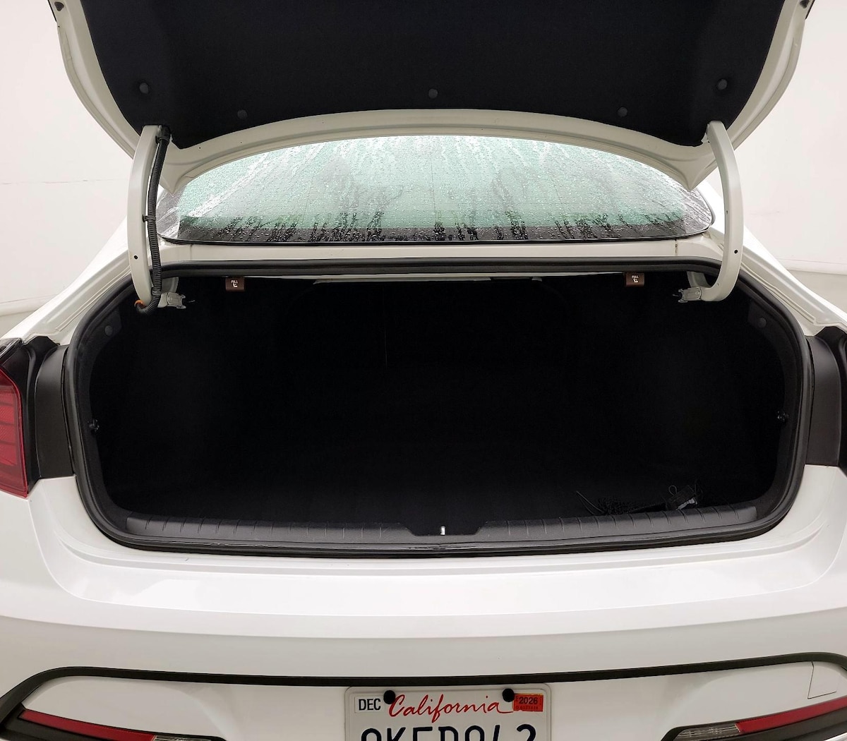 Trunk/Cargo (Seats Up)