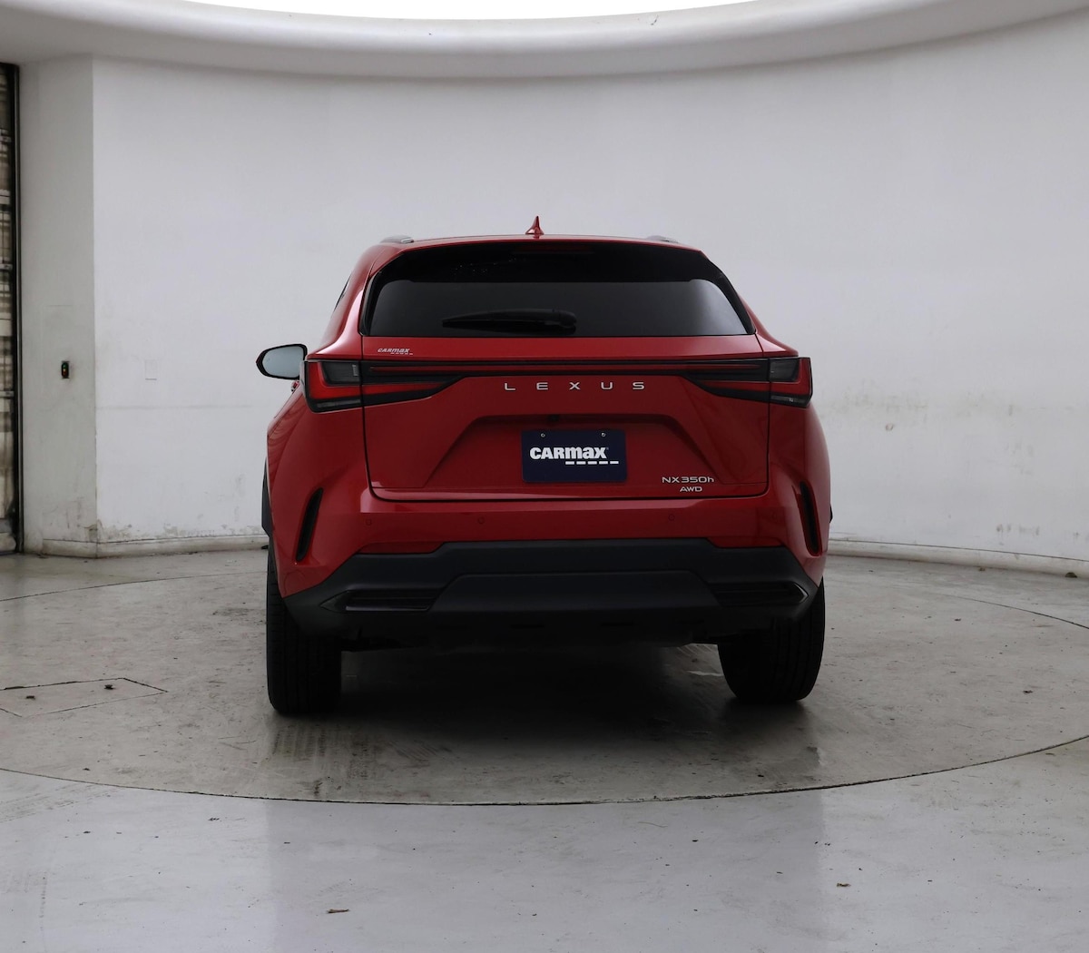 Rear