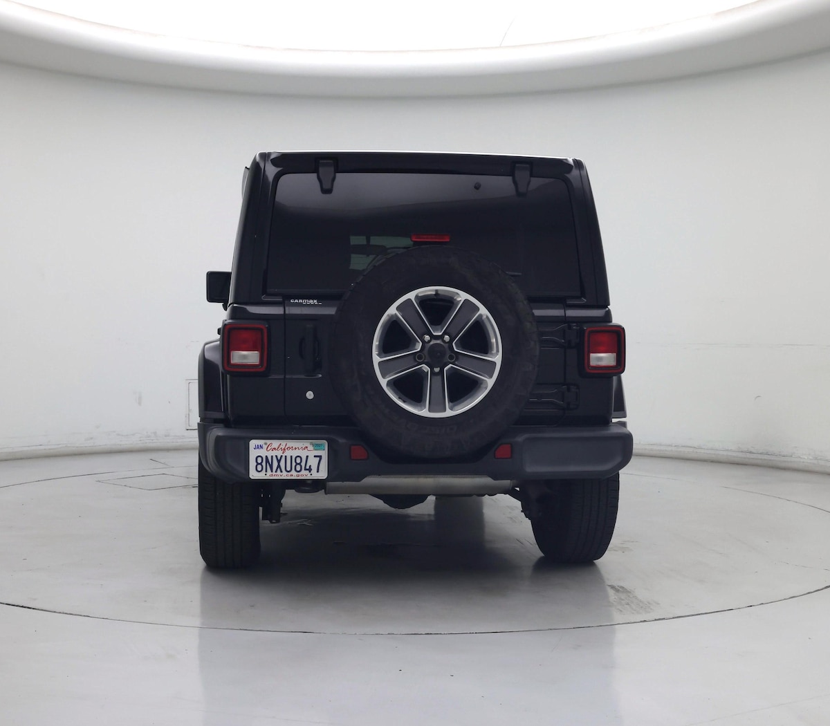 Rear