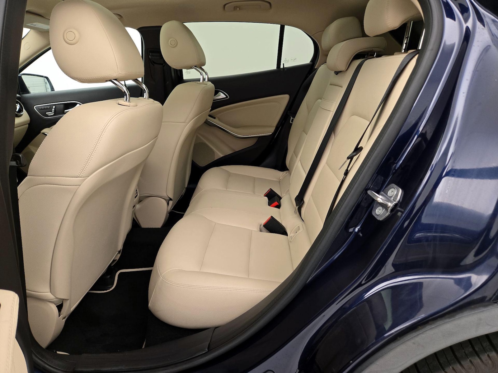 Rear Entertainment System