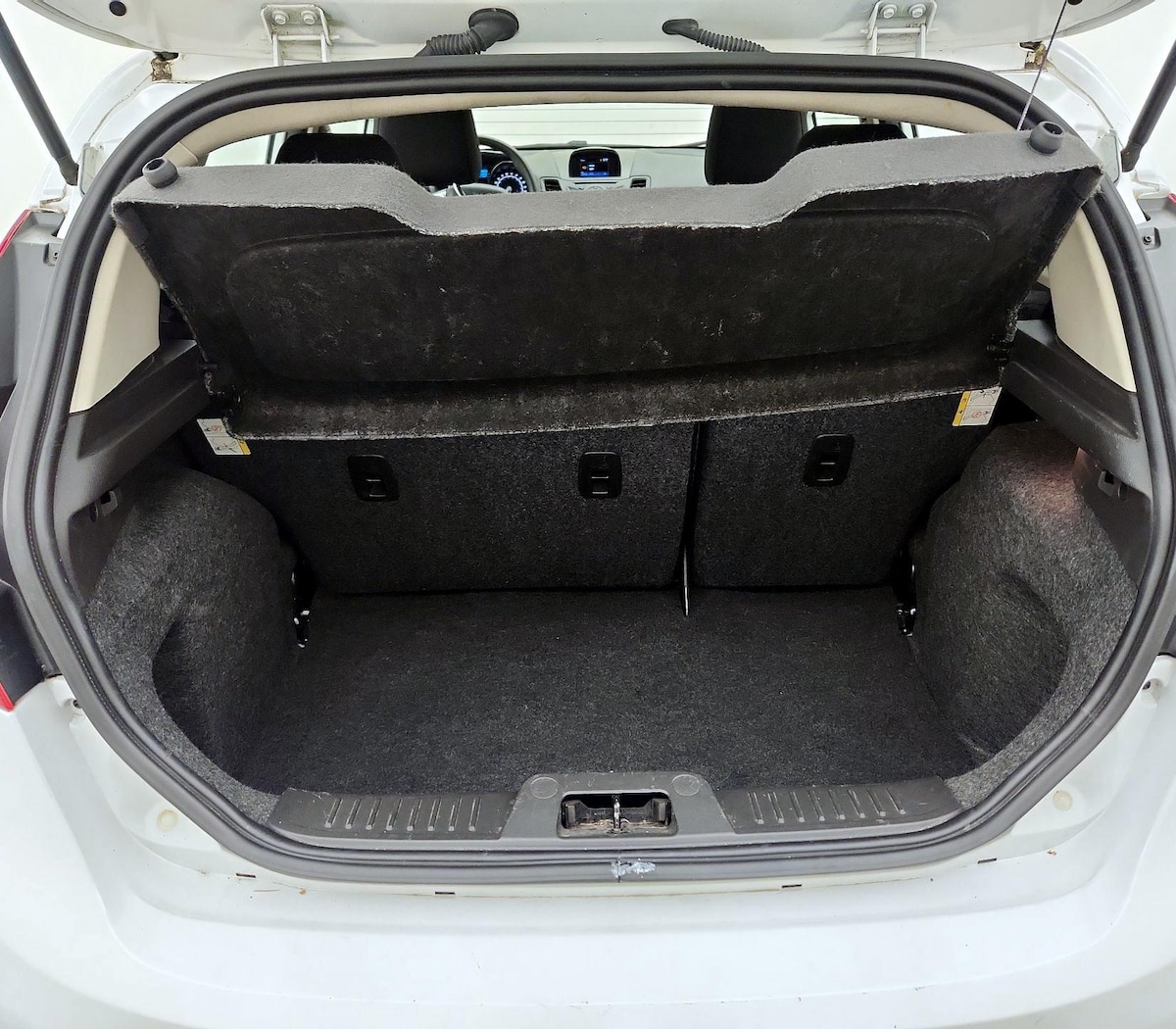 Trunk/Cargo (Seats Up)