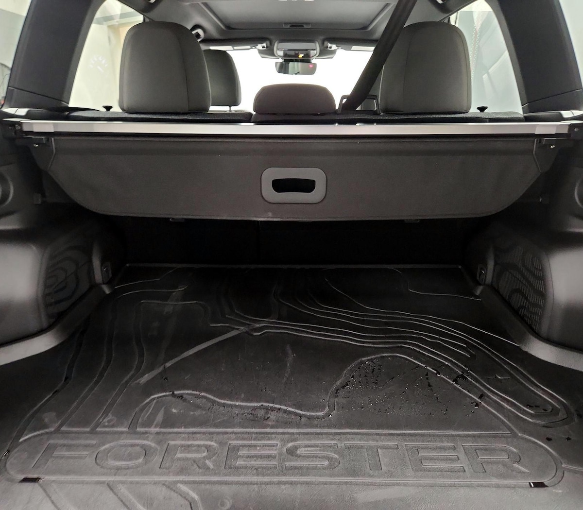 Trunk/Cargo (Seats Up)