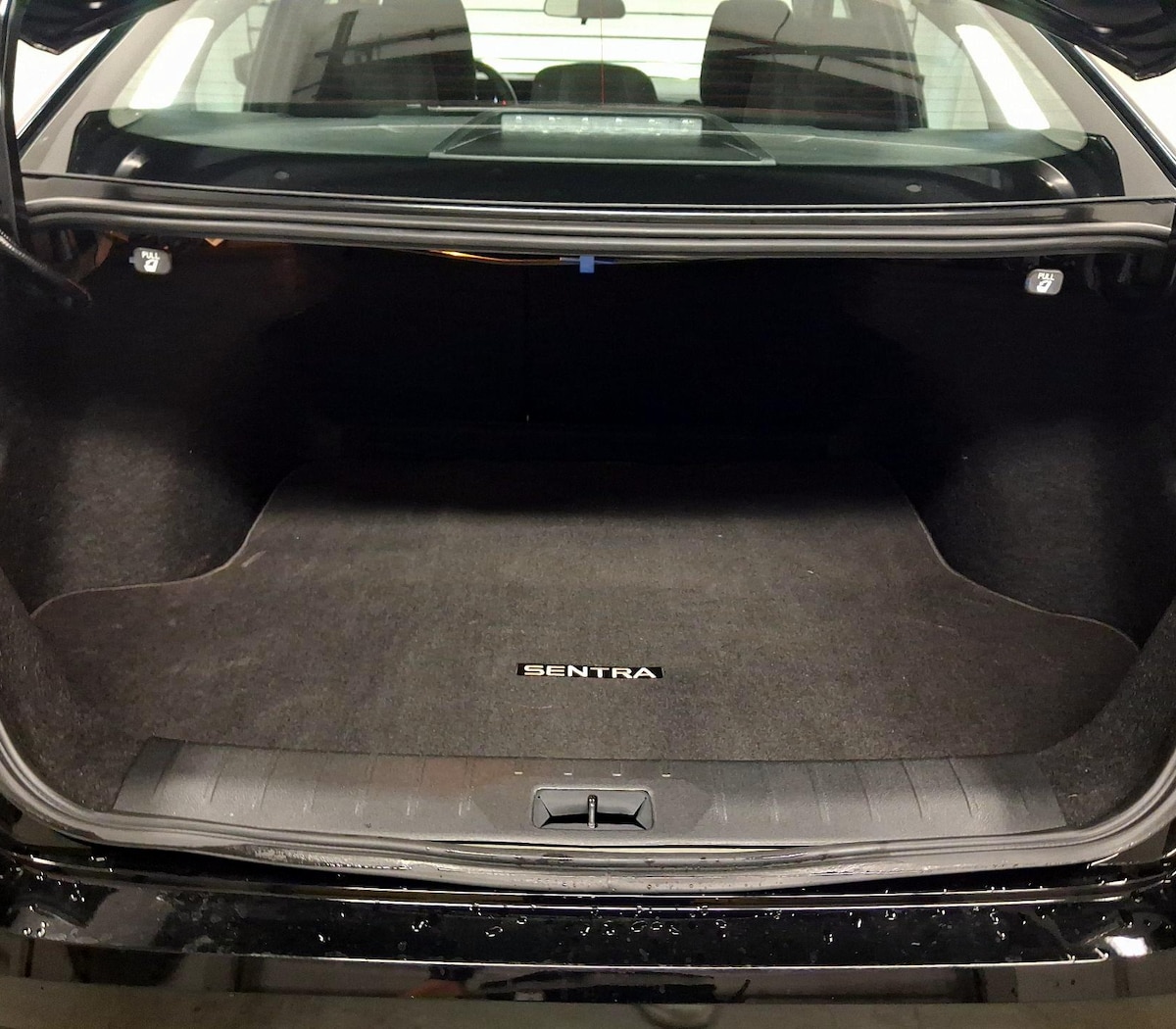 Trunk/Cargo (Seats Up)